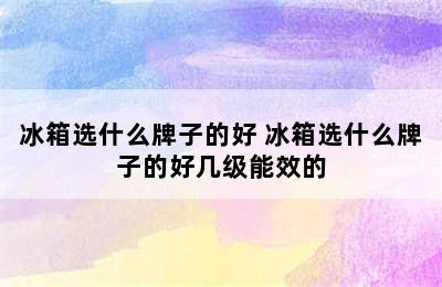 冰箱选什么牌子的好 冰箱选什么牌子的好几级能效的